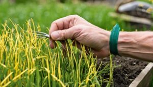 eliminate nutsedge safely now