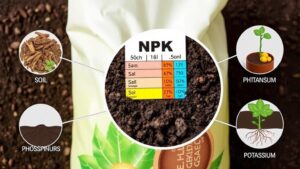understanding npk fertilizer labels